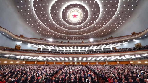 代表委員共商網絡視聽節目發展新路徑