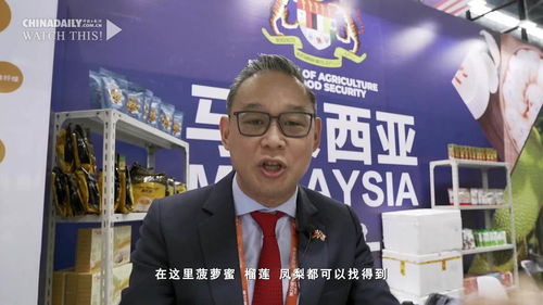 中國日報專稿 信息網絡傳播視聽節目的現狀與展望